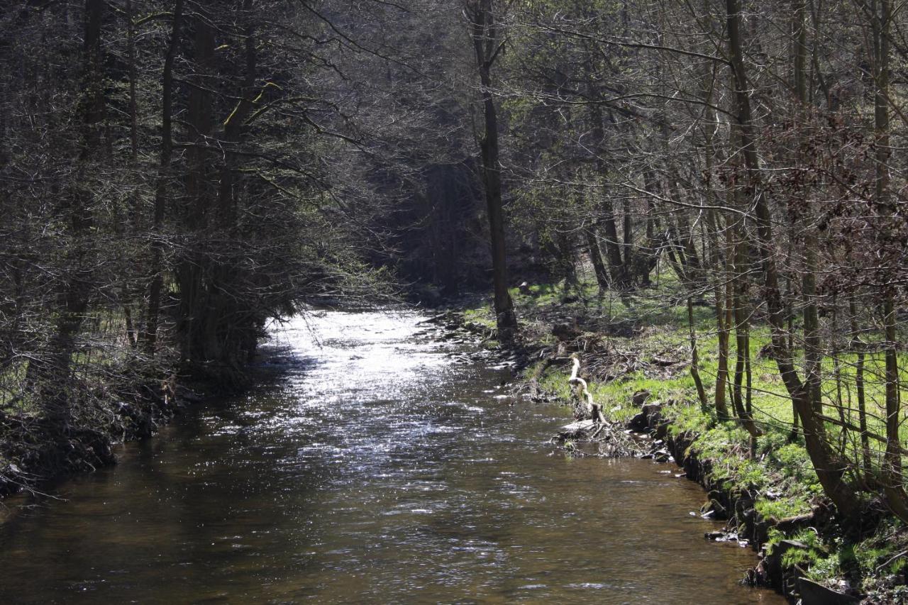 Hotel Waldfrieden Elsterberg Εξωτερικό φωτογραφία